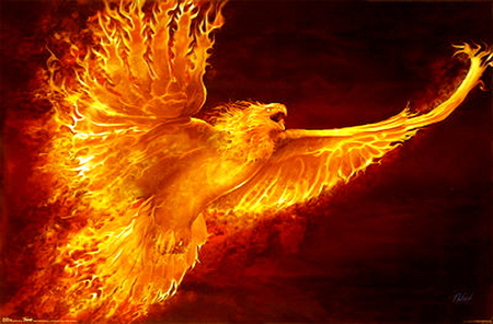 Phoenix Rising - flames, firebird, eagle, phoenix