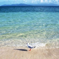 turquoise ocean