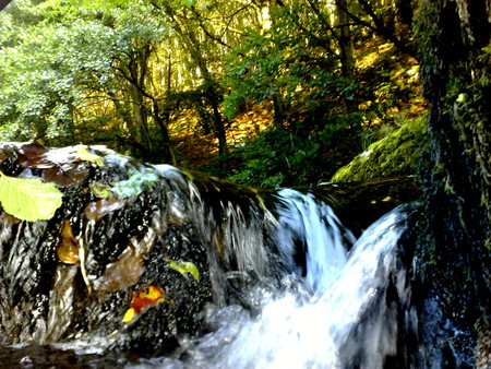 watherfalls 2010 - hdr, wather