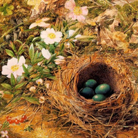 Garden Nest