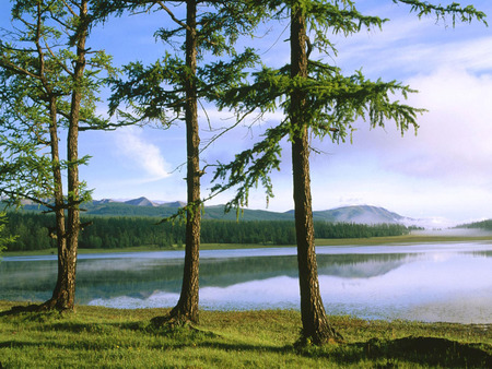 Landscape in China - seascapes, grasslands, bay, reflections, lakes, lagoons, amazing, cool, reflected, paysage, land, grass, asia, trunks, branches, china, mounts, islands, peaks, scenario, nature, beautiful, mirror, leaves, nice, sky, trees, water, leaf, mountains, clouds, green, rivers, scene, landscapes, forests, day, waterscape, paisage, plants, coasts, blue, scenery, awesome