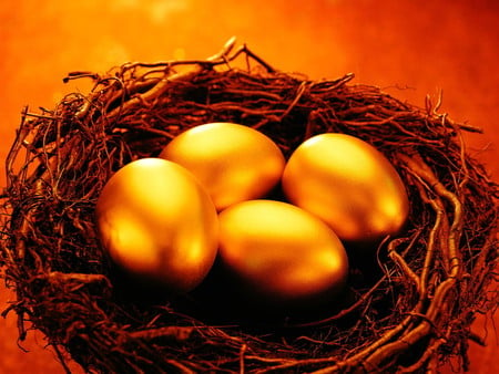 GOLDEN EGG - eggs, gold, straw