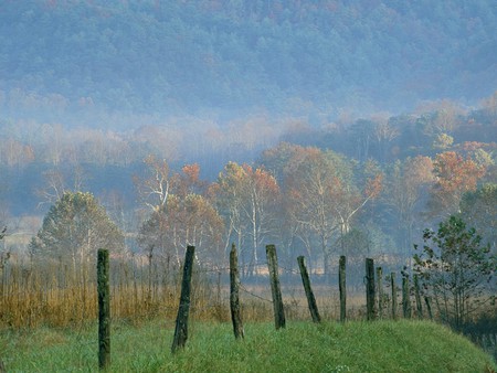 Smoky mountain - nature, fall, trees, mountain, forest, smoky, green, grass