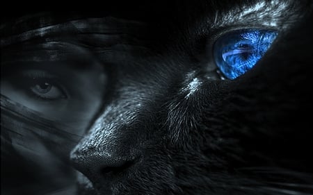 Eye - fantasy, eye, blue, cat