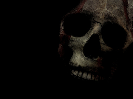 black skull - wallpaper, black skull, photography