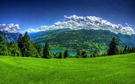 Walenstadt Berg - walenstadt, nature