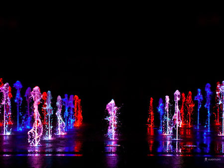 Fountains of Siberia - fountains, water, night, photo, dark