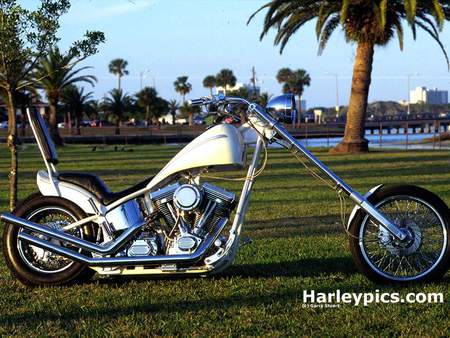 Pale Sled - bike, chopper, sled, motor bike, motorcycle, harley davidson