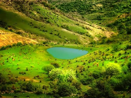 Small Lake - picture, small lake, beautiful