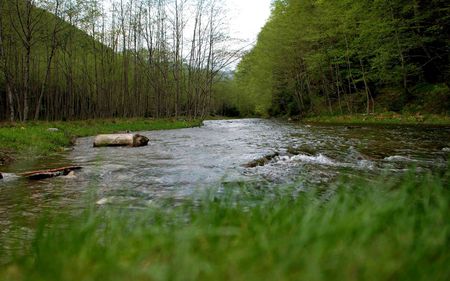 AMAZING ROMANIA - stream, mountain, amazing