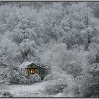 Winter Wonderland
