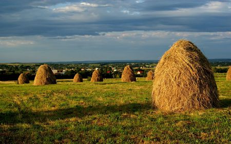 AMAZING ROMANIA - amazing, green, air, grass, field, pure, country