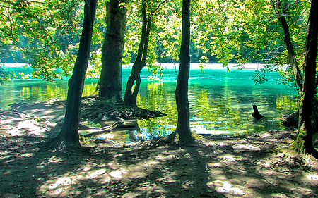 Rhone Serenity - nature, rivers