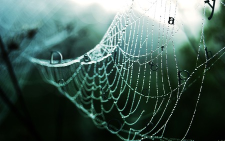 web - web, abstract