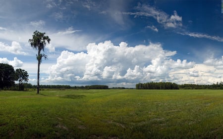 field in Montana - fields, nature