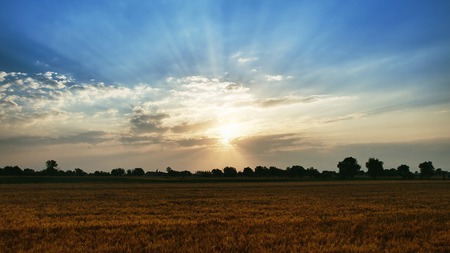 sun in his glory - sky, nature