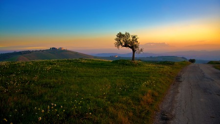 beautiful fields - field, wallpaper