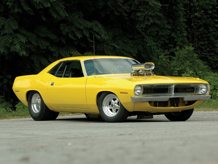 70 Plymouth Barracuda Pro Street - barracuda, pro street, cars, classic car, plymouth, yellow, hot rod, muscle car, plymouth barracuda