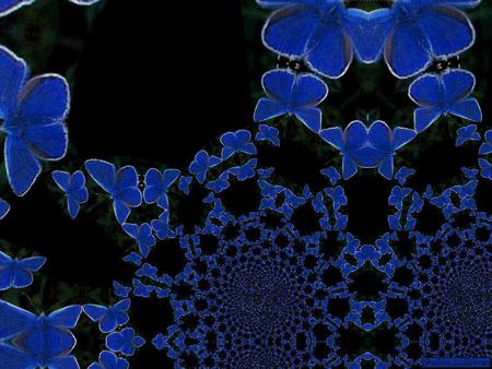 BLACK AND BLUE BUTTERFLIES - abstract, black, blue, butterflies, form