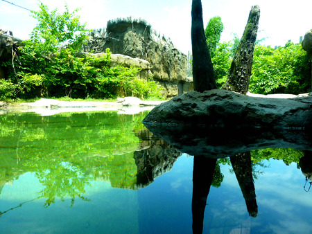 Reflection - tower, lake, reflection, grass