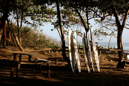 Morning surf in a perfect sun - beach, surf, sun