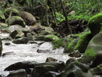 Rocky Waterfall