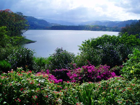 A VIEW THRU LEAFY TREES AND FLOWERS OF LOVELY LAKE