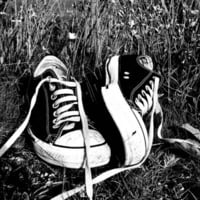 Converse Chucks