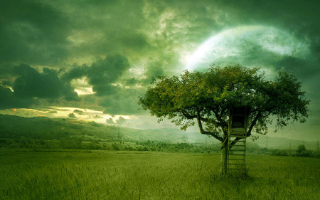 Golden Dream - hd, nature, sky, cool, 3d, green, tree, abstcrat