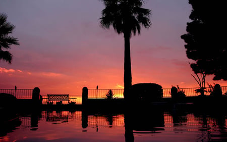 Tropical Sunset - nice, sky, palm trees, paradise, tropical, sunset, bench, nature, scenery, skies