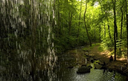 Joyful Forest Lights - waterfall, pond, lights, grass, forest, rocks, joy