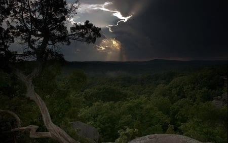 Picture of Dreariness - trees, light, rocks, picture, woods, forest, dark, clouds, jungle