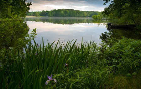 Freedom of Solitude - hill, lake, freedom, trees, montain, lily, forest, canoe, solitude, grass, pond, boat