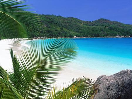 Mountain - water, nature, palm trees, mountain, sky