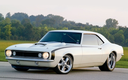 67 White Camaro - cars, classic car, hot rod, muscle car, chevy camaro, chevrolet, chevy, camaro