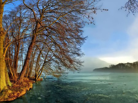 Magic Tree on the Ice Lake - magic, rivers, brown, snow, plants, seasons, nice, pond, natural, stones, frozen, ice, white, mounts, nature, green, lakes, yellow, blue, amazing, foggy, photo, wawes, sky, clouds, branches, trees, winter, water, fog, beautiful, photography, photoshop, cool, orange, peaks, icy, awesome, lagoons, cold, environment, mountains, rocks