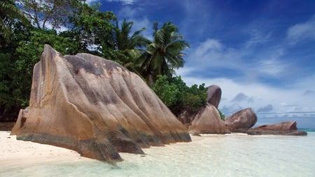 forms in the sand - forms in the sand, beaches, nature