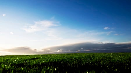 sunrise - fields, nature, sunrise