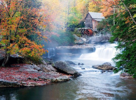 Mill in the Autumn Woods - waterfalls, scenery, rivers, scene, scenario, scarlat, land, trunks, plants, seasons, nice, amber, woods, mill, pond, moss, paysage, colors, natural, stones, frozen, pines, white, paisage, nature, gray, autumn, green, lakes, waterscape, reflections, yellow, foam, blue, amazing, landscape, foggy, grass, creeks, scarlet, forests, purple, red, violet, houses, trees, water, fog, beautiful, falls, reflected, morning, cool, orange, ambar, paisagem, colorful, awesome, lagoons, mountains, rocks