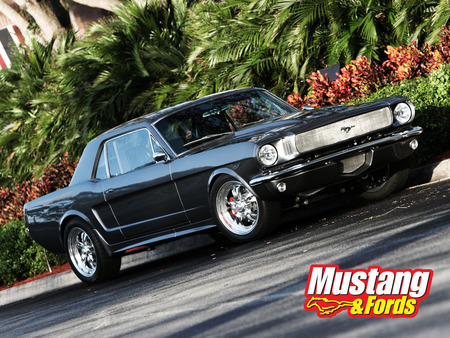 Black Mustang - hot rod, ford mustang, mustang, muscle car, classic, cars, ford, classic car