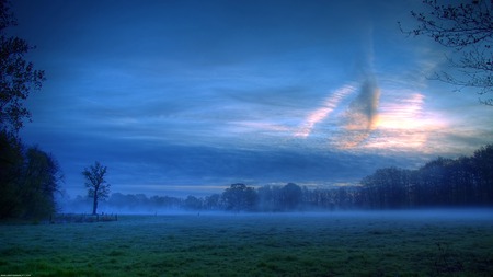 fog - fog, nature, fields, forces of nature