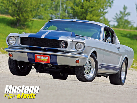 65 Ford Mustang GT350 Fastback - hot rod, ford mustang, mustang, muscle car, classic, cars, ford, classic car