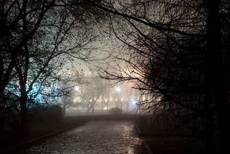 No More Boundaries - dark, night, fog, tree, road, path, mist, lights