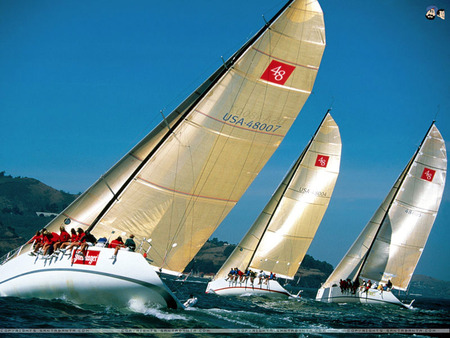 sailing in a race - sea, sailing, race