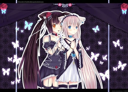 Chocola and Vanilla - Other & Anime Background Wallpapers on Desktop ...