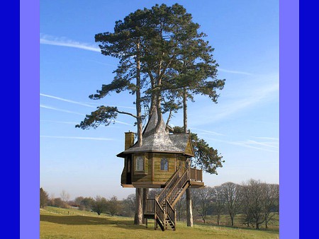 Tree House - picture, tree house, cool