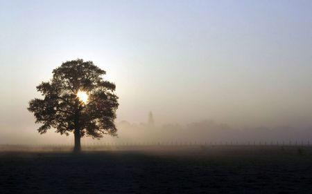 airfield sunrise - field, wallpaper