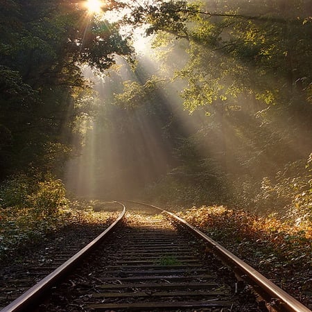 Follow me - tracks, railway, hot, sun, sun rays, field, woods, scene, trees, nature