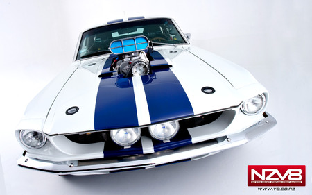 Shelby GT500 - cars, classic car, hot rod, muscle car, mustang, ford mustang, shelby gt500