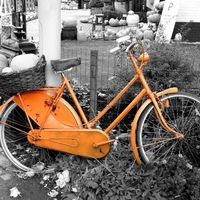 Pumpkin Bicycle